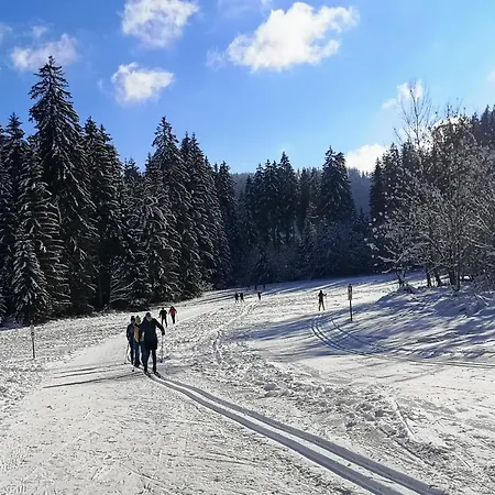 Vogelnescht19 Titisee-Neustadt