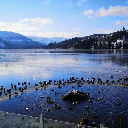 Apartment Vogelnescht19