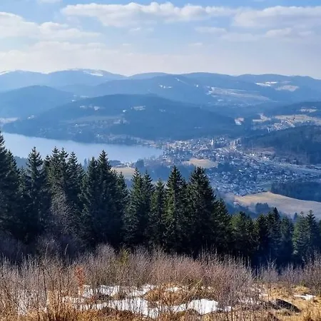 Appartement Vogelnescht19 *