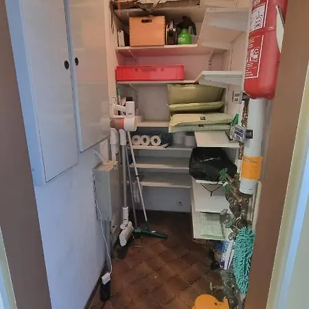 Vogelnescht19 Titisee-Neustadt