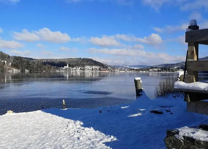 Vogelnescht19 * Titisee-Neustadt