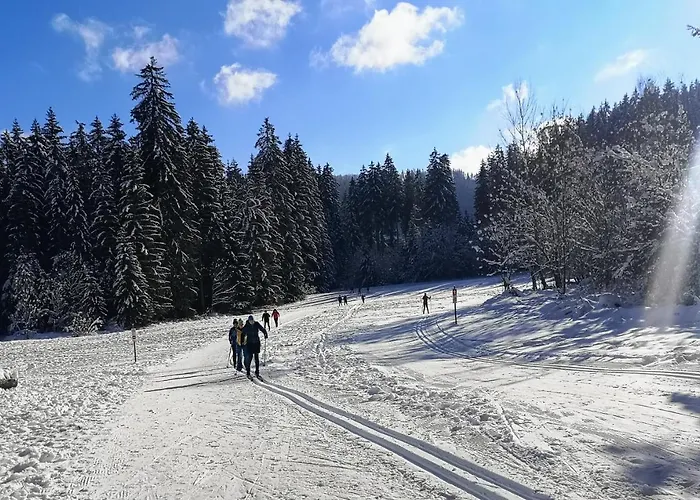 Vogelnescht19 Titisee-Neustadt