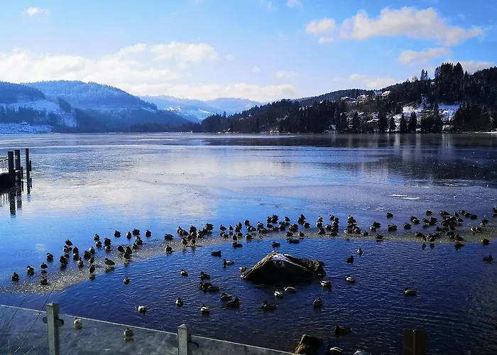 Apartmán Vogelnescht19