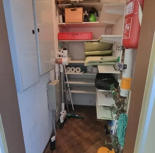 Vogelnescht19 Titisee-Neustadt